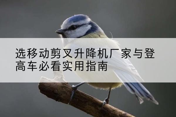 崇左电动升降机厂家-选移动剪叉升降机厂家与登高车必看实用指南