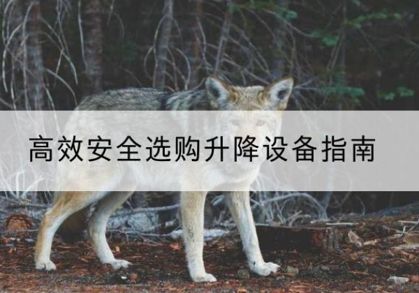 崇左升降货梯厂家推荐-*安全选购升降设备指南