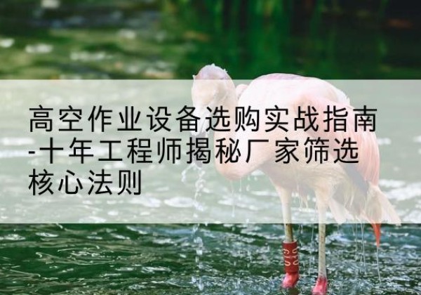 崇左剪叉式升降机厂家-高空作业设备选购实战指南-十年工程师揭秘厂家筛选核心法则