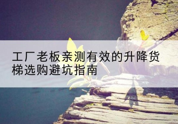 崇左升降货梯怎么选-工厂老板亲测有效的升降货梯选购避坑指南